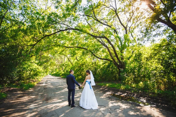 Paseo de bodas en el bosque de pinos. Día soleado . —  Fotos de Stock