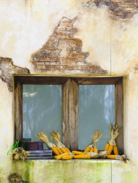Corn laying on wooden window — Stock Photo, Image