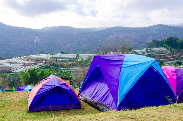 Tourist camping tents — Stock Photo, Image