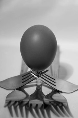 Bu resimdeki modelin rolüne sahip yumurta, ve vücudumuzdaki ana rol.