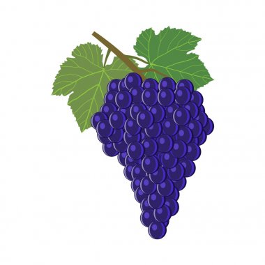 şarap üzüm demet