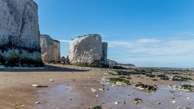 Botanik Bay, Kent, İngiltere - 14 Ağustos 2016: Turistler ve ziyaretçiler için botanik Bay Beach plaj dalgalar ve yaz güneş Broadstairs Kent yakınındaki güneşli hava getirdi.