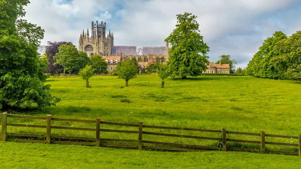 Utsikt Över Katedralen Ely Från Cherry Hill Park Ely Cambridgeshire — Stockfoto