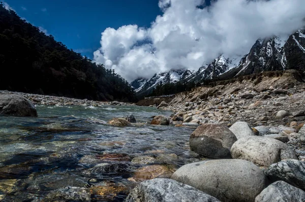 Valle Yumthang Una Popular Atracción Turística Área Campamento Natural Himalaya — Foto de Stock