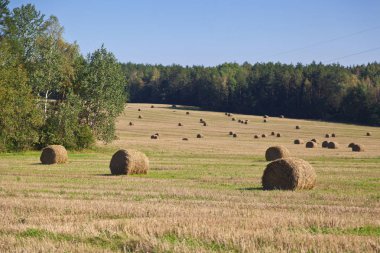 Rulo saman arka plan olarak mavi gökyüzü ile Sümer alanındaki