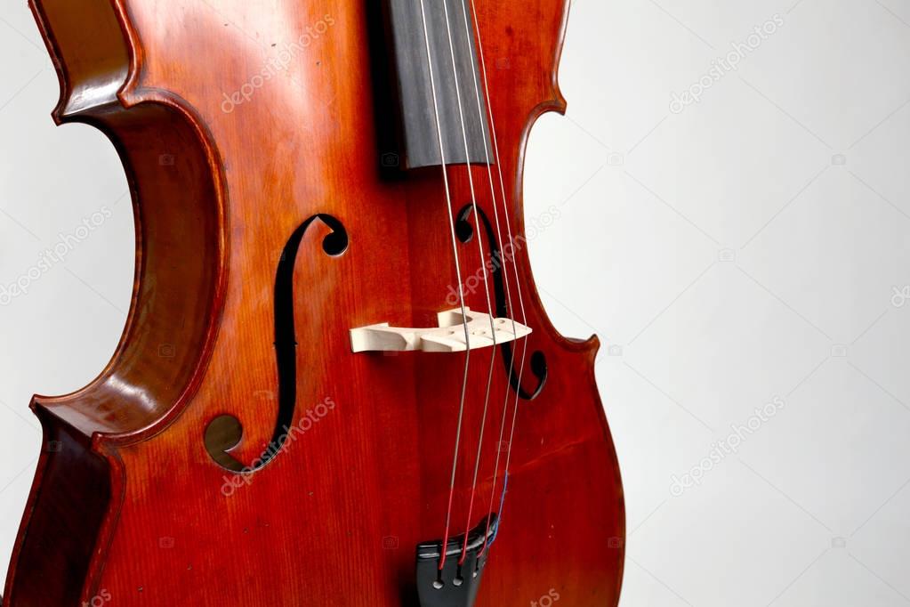 Old double bass c bout and belly on white background