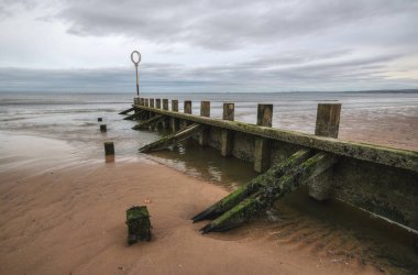 Old wood and stone groyne structure covered with green algae clipart
