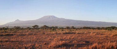 Amboseli Ulusal Parkı panorama Kilimanjaro Dağı ile