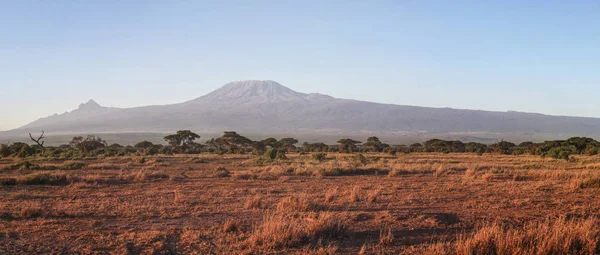 Amboseli nationalpark panorama mit kilimandscharo — Stockfoto