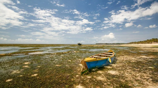 Wide shot van lege blauwe en gele boot op zand met zee kelp — Stockfoto