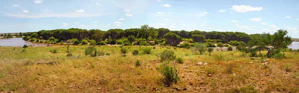 High resolution Tsavo east national park panorama — Stock Photo, Image