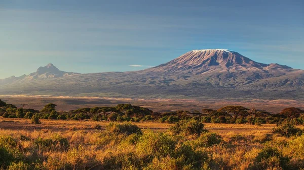 Árida sabana africana seca al atardecer con el monte Kilimanjaro , — Foto de Stock