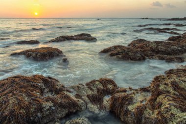 Yosun ve deniz ile kaplı taş yıkama okyanus HDR görüntüsünü 