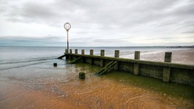 Eski ahşap groyne yapısı Portobel yeşil yosun kaplı