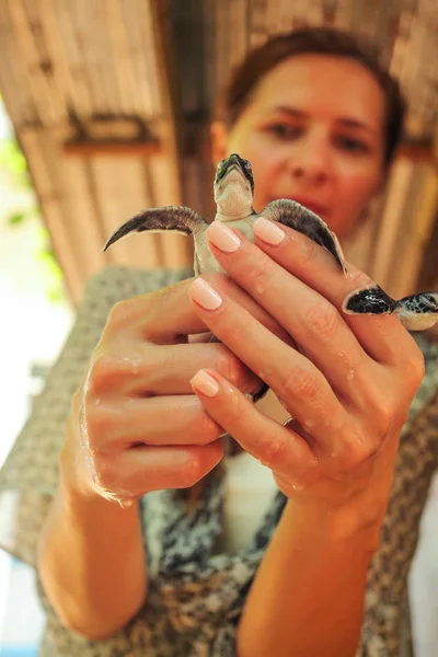 들고 젊은 여자는 그녀의 손에 있는 거북이 부 화. 바다거북 Hatc — 스톡 사진