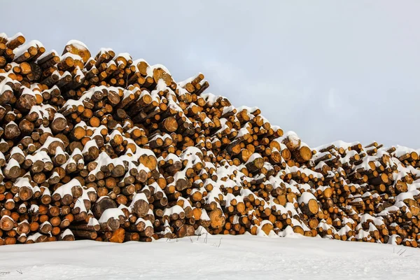 Logs de madeira coberta com neve empilhada ao lado da estrada . — Fotografia de Stock