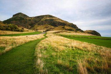 Green and yellow grass with Arthur's Seat clipart