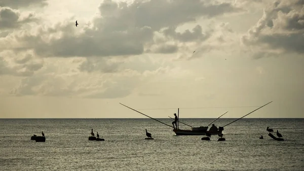 Silhouettes of fisherman on small fishing boat, with neotropic cormorant sitting on nearby rocks, photographed in strong back light. Progresso, Mexico — Stock Photo, Image