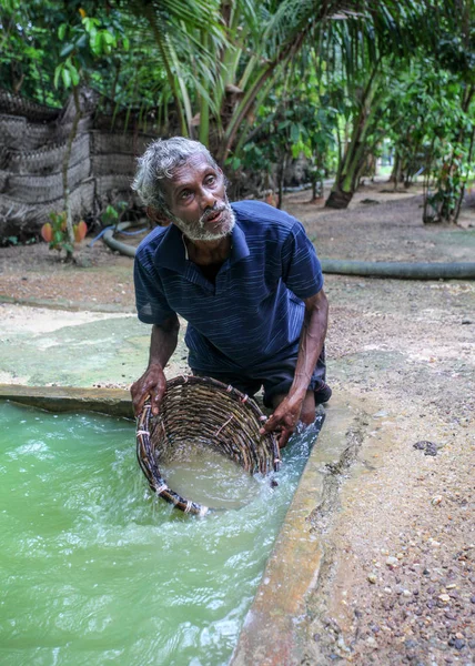 Galle, Sri Lanka - 2017. április 14.: A helyi férfi térd mély f-lyuk — Stock Fotó