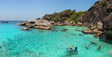 Similan Islands, Tayland - 23 Şubat 2016: Turist şnorkel