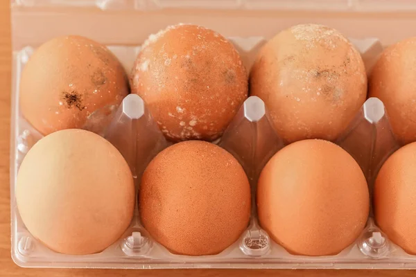 El moho crece en los huevos almacenados incorrectamente en la nevera húmeda durante mucho tiempo. — Foto de Stock