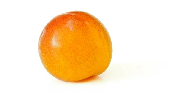 Żółty smar pomarańczowy Prunus domestica subsp. wędrowiec włoski. — Zdjęcie stockowe