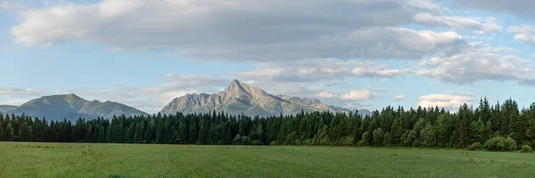 Πανόραμα High Tatras με εμφανή κορυφή Krivan σλοβακικό σύμβολο στο κέντρο, λιβάδι και κωνοφόρα δέντρα δάσος σε πρώτο πλάνο — Φωτογραφία Αρχείου