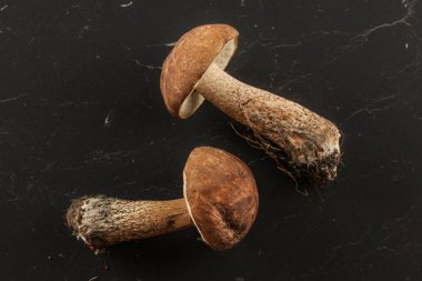 Masaüstü görünümü - yeni toplanmış iki mantar (skaler sap / lec