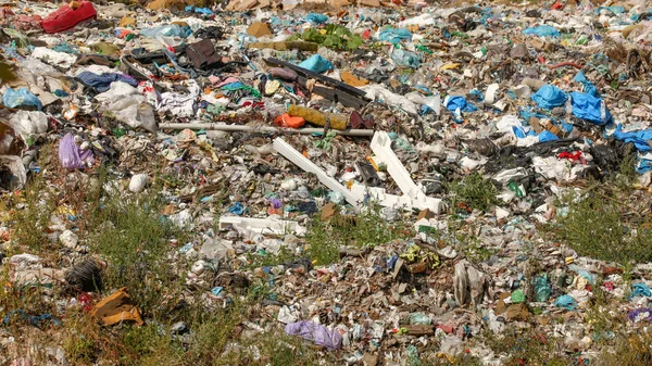 Çöp sahasına atılan çeşitli şeyler, etrafta büyüyen çimenler. Hayır.