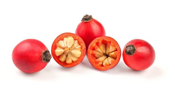 Églantier (Rosa Canina fruits), un coupé en deux isolé sur le fouet — Photo