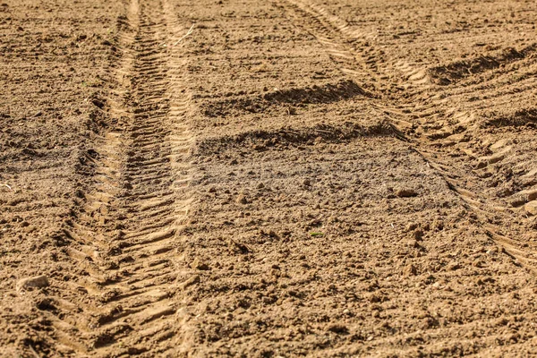 Heavy vehicle (tractor) tire track print in dry field, lit by su