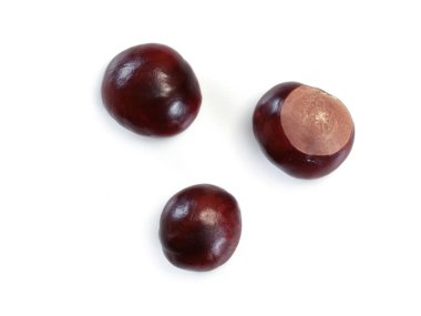 Üstten çekilmiş bir fotoğraf, üç at kestanesi, beyaz arka bahçeye izole edilmiş.