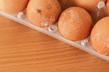 Uzun süre uygun olmayan bir şekilde depolanmış yumurta kabukları üzerinde büyüyen beyaz küf ya da küf, köşeden aşağıya bırakılan metin için boş alan