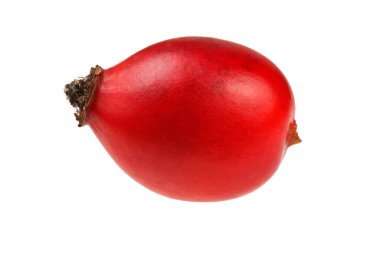 Beyaz arka planda izole edilmiş tek gül ağacı (Rosa Canina meyvesi)