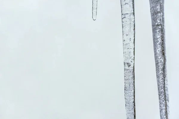Icicles against gray winter sky, detailed photo with space for t — Stock Photo, Image