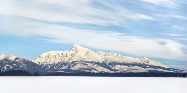 Berg Krivan (symbool van Slowakije) winter panorama. — Stockfoto