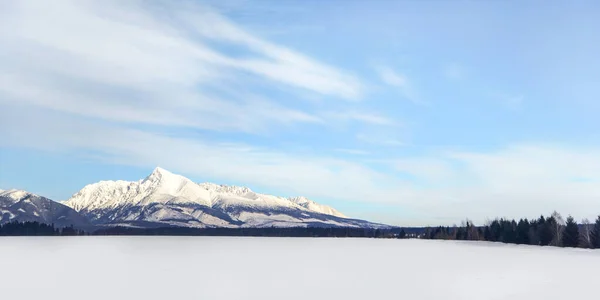 Schneebedecktes Feld mit dem Berg Krivan (slowakisches Symbol) in der Ferne — Stockfoto