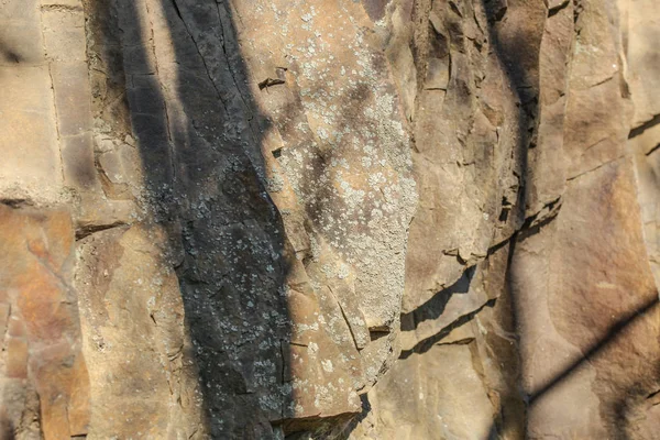 Malé skvrny lišejníku rostoucí na plochých skalách — Stock fotografie
