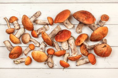 Taze toplanmış orman mantarları, kırmızı kaplama skaler sapı çeşitliliği (Leccinum aurantiacum / albostipitatum), beyaz tahta üzerinde, yukarıdan fotoğraf