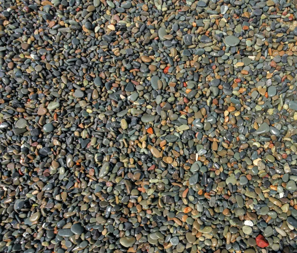 Top View Sun Shining Small Wet Pebbles Beach — Stock Photo, Image