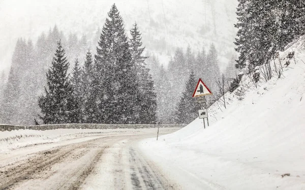 Conduite Travers Fortes Tempêtes Neige Blizzard Sur Route Forestière Vue — Photo