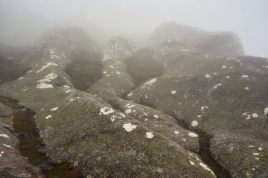 Sisli bir sabahta yosun ve yosun lekeleriyle kaplı büyük kayalar. Andringitra Ulusal Parkı 'ndaki Pic Boby namı diğer Imarivolanitra' ya giderken tipik bir manzara, Madagaskar 'ın en yüksek erişilebilir zirvesi..