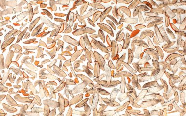 Masa üstü görüntüsü - orman mantarları - turuncu bardak sapı - ince dilimlere kesilmiş, beyaz kağıda bırakılmış.