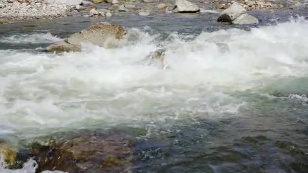 Белые Волны Воды Текущей Реке Весной Камни Скалы Видны Видео — стоковое видео