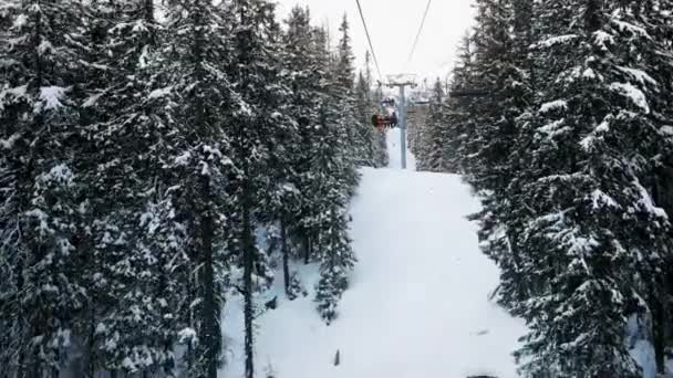 Blick Vom Skilift Auf Den Berg Bäume Auf Beiden Seiten — Stockvideo