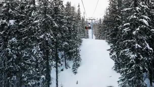 Blick vom Skilift auf den Berg, Bäume auf beiden Seiten