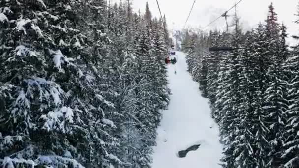上了滑雪椅 坐到山头 两边都是树 — 图库视频影像