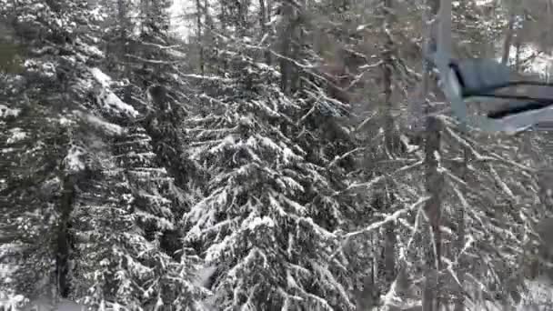 スキーチェアリフトから山に登る木を見ると 森のそばを飛んでいるように見えます — ストック動画