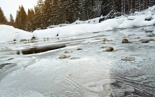 Ráno Zamrzlé Řece Zimě Nízkoúhlé Foto Zaměření Led Kameny Jehličnatými — Stock fotografie