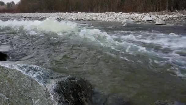 Vagues Eau Vive Sur Cours Eau Sauvage Qui Coule Printemps — Video